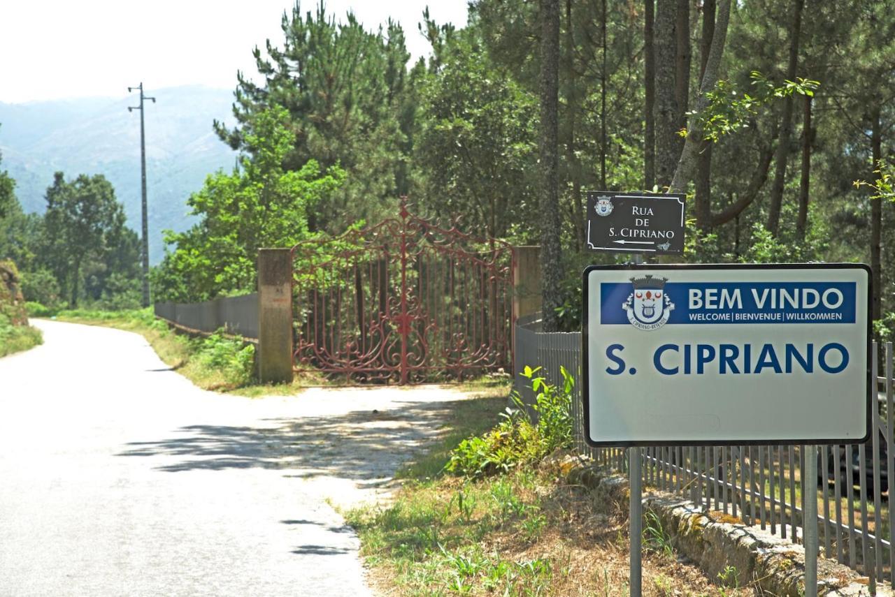 Quinta De S. Cipriano Villa Resende Ngoại thất bức ảnh