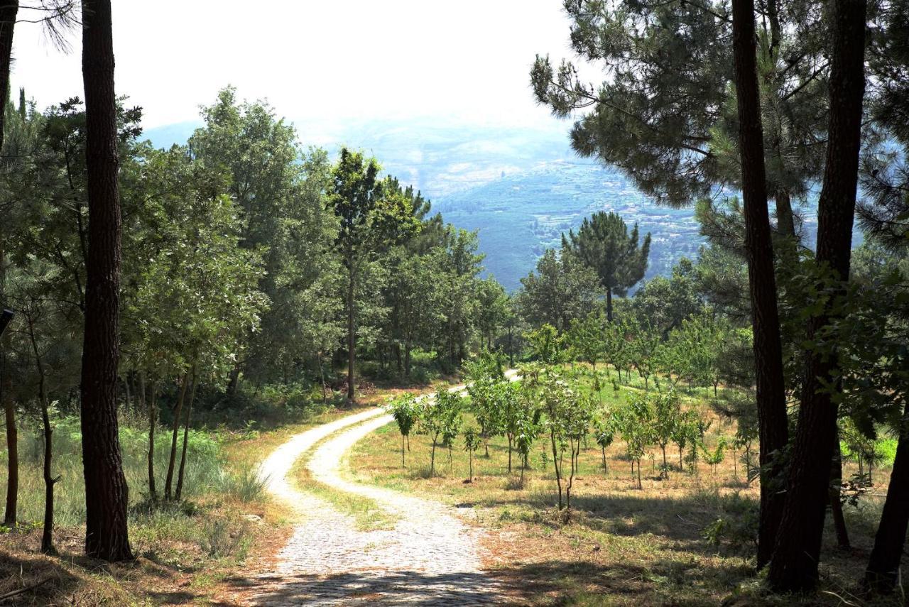 Quinta De S. Cipriano Villa Resende Ngoại thất bức ảnh