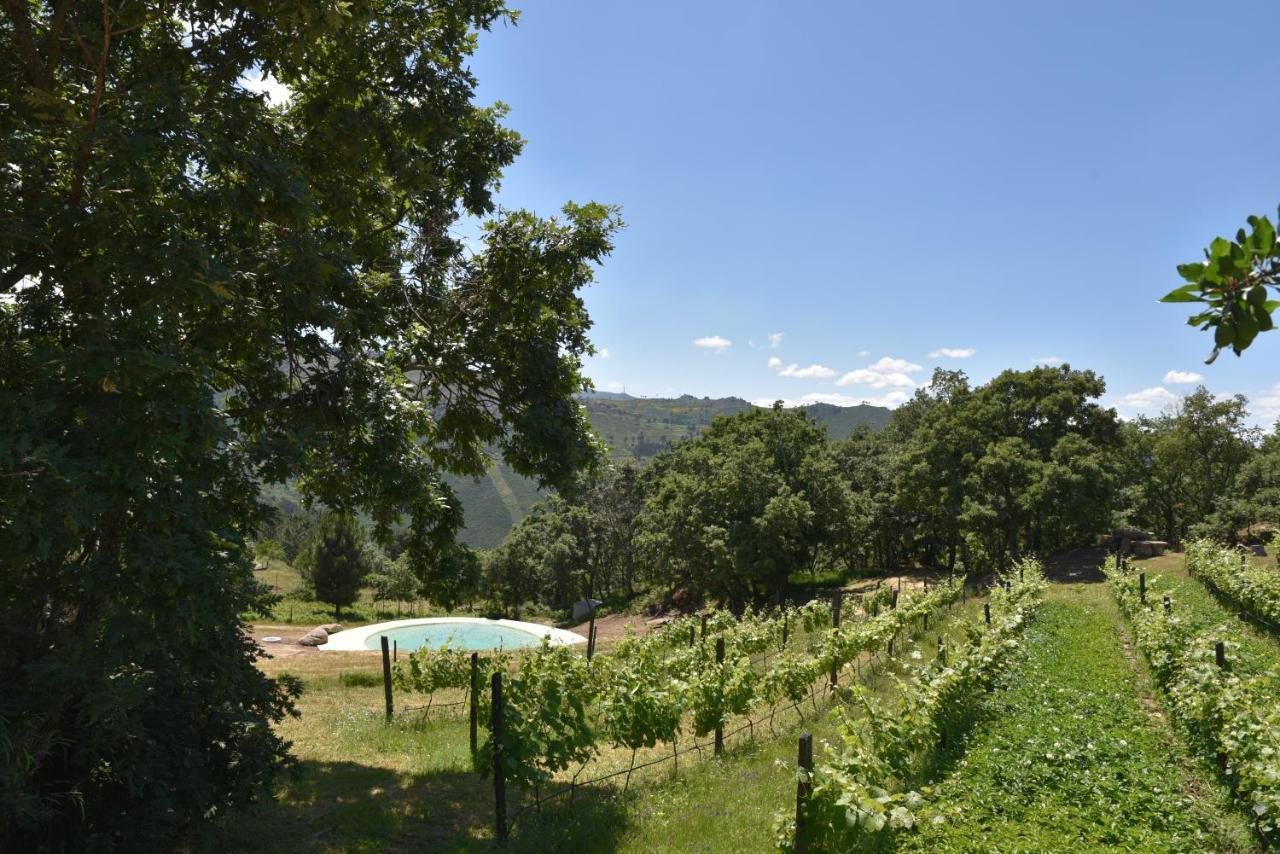 Quinta De S. Cipriano Villa Resende Ngoại thất bức ảnh