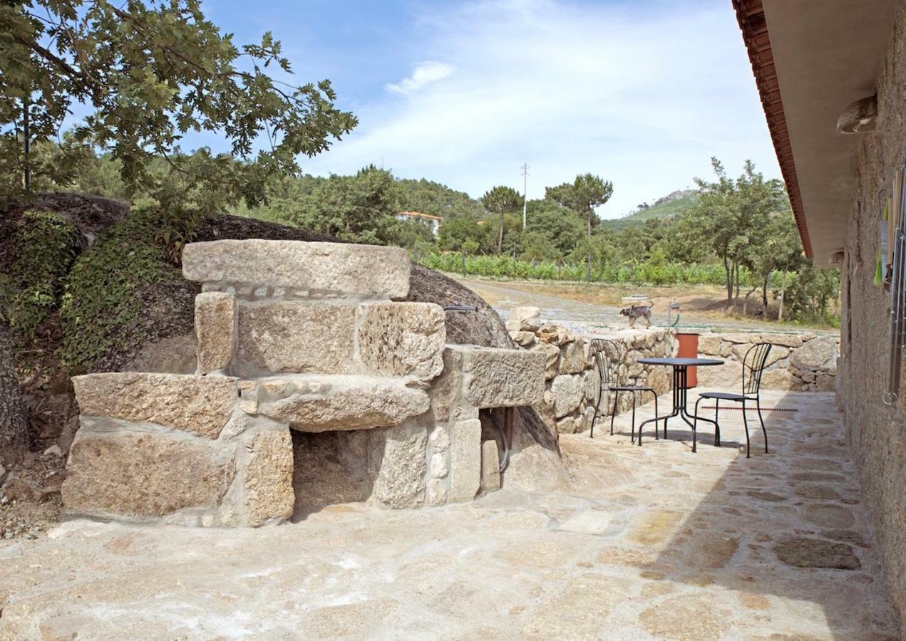 Quinta De S. Cipriano Villa Resende Ngoại thất bức ảnh